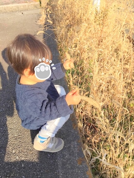 fujimaruさんのコーディネート