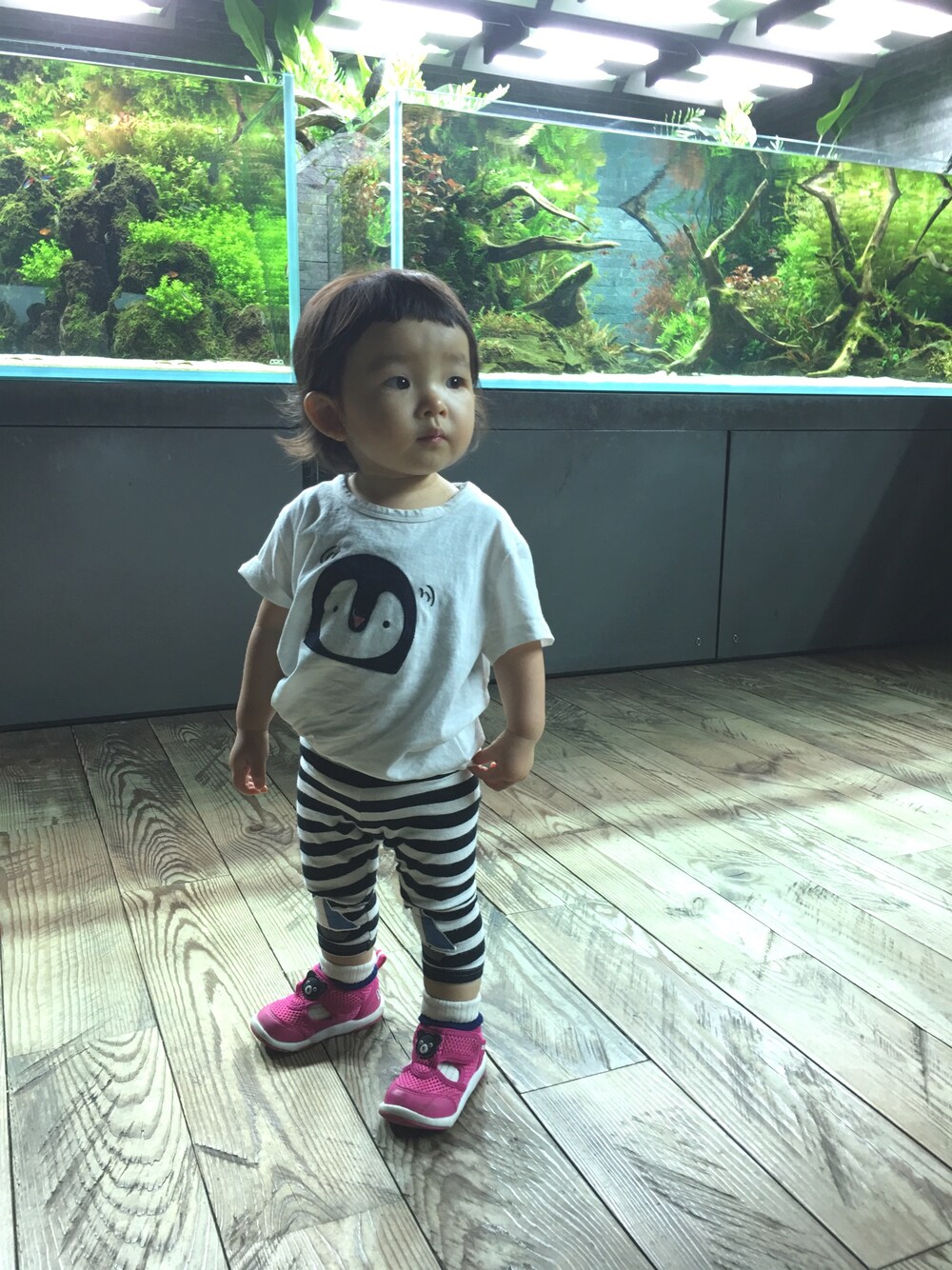 「ぺんぎん、水族館、一歳、保育園」｜「ouiibebeのアイテム（Tシャツ/カットソー、ホワイト系）」を使った、nana⭐︎🌙さん（キッズ・80cm）の夏コーディネートの1枚目の写真