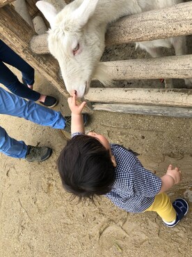 「アイテム（その他ベビー用品、イエロー系）」を使った、w-kさん（キッズ・70cm）の春コーディネート