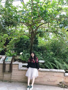「Supreme.La.La.（シュープリームララ）のアイテム（ニット/セーター）」を使った、---Before---さん（レディース・152cm）の冬コーディネート