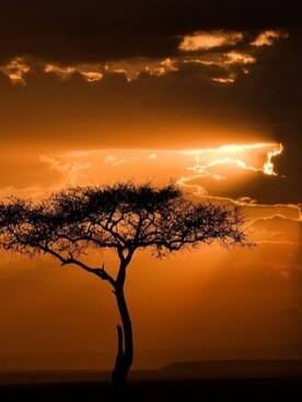 ErdoğanGökさんのコーディネート