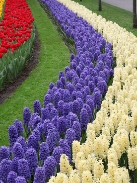 ErdoğanGökさんのコーディネート