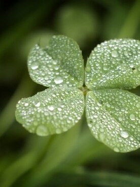 ErdoğanGökさんのコーディネート