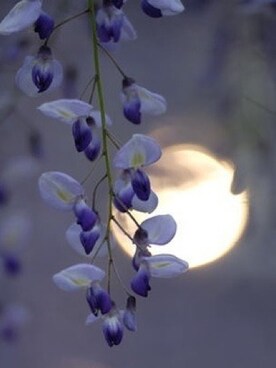 ErdoğanGökさんのコーディネート