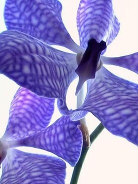 ErdoğanGökさんのコーディネート