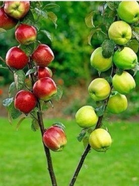 ErdoğanGökさんのコーディネート