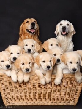 ErdoğanGökさんのコーディネート