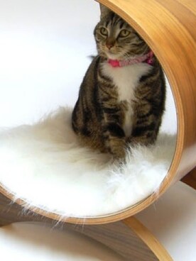 ErdoğanGökさんのコーディネート