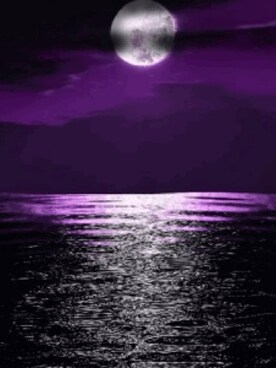 ErdoğanGökさんのコーディネート