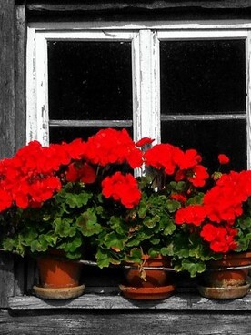 ErdoğanGökさんのコーディネート