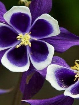 ErdoğanGökさんのコーディネート