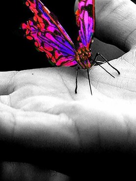 ErdoğanGökさんのコーディネート