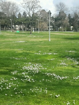 ErdoğanGökさんのコーディネート