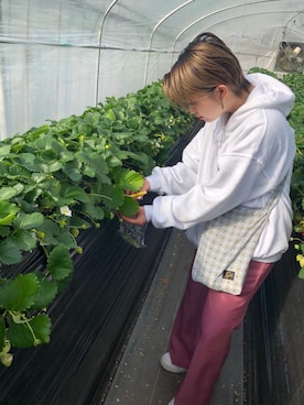 pinaさんのコーディネート