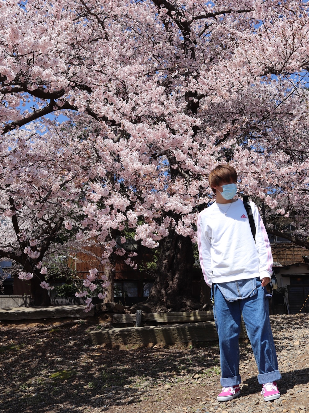 「いいね、save、フォローお願いします🤑、古着コーデ、TOMMY HILFIGER、adidas、Y-3、VANS OLDSKOOL、Vivienne Westwood、THE NORTH FACE、おしゃれさんと繋がりたい、はるコーデ」｜「VANSの【国内exclusive】 <VANS(バンズ）＞ OLD SKOOL BYSP/スニーカー（スニーカー、ピンク系）」を使った、＜●ω●βさん（メンズ・166cm）の春コーディネートの1枚目の写真