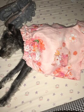 Summer jek6さんのコーディネート