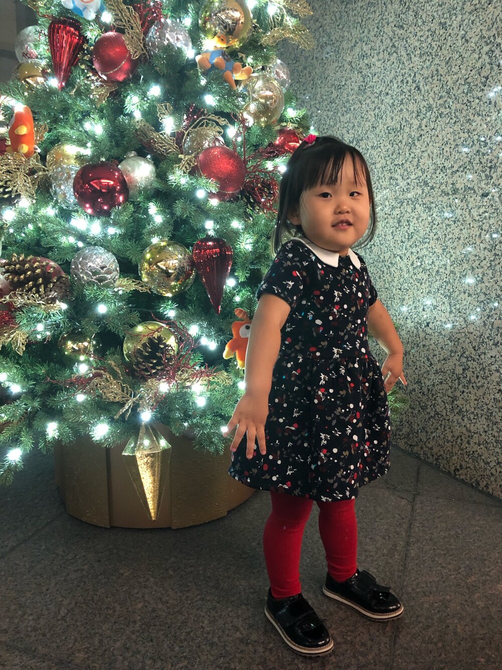 「香港、hk、あげ半、プチバトー、クリスマスコーデ、おしゃれキッズ、冬コーデ、キッズコーデ、2歳2ヶ月、愛娘」｜「PETIT BATEAUのチュビックプリント半袖ワンピース（ワンピース、ブルー系）」を使った、🐘Umiii🐘さん（キッズ・90cm）の冬コーディネートの1枚目の写真