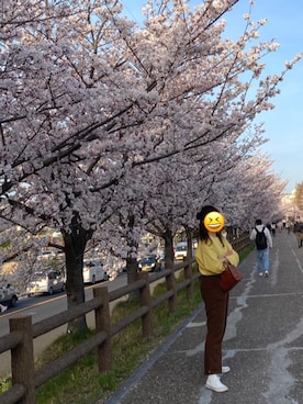 mi-さんのコーディネート