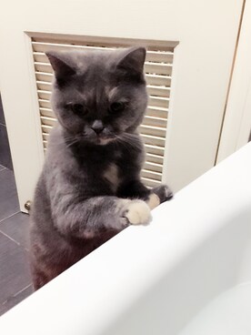 NEKO -ジさんのコーディネート