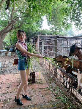 Koshikaさんのコーディネート