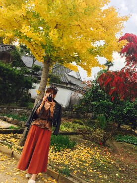 ドラさんのコーディネート