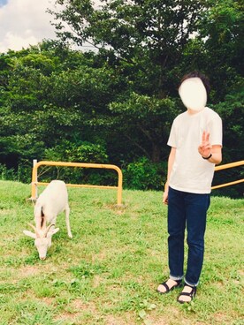 微熱さんのコーディネート