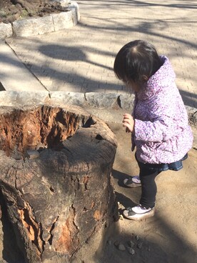 Ayako kobariさんのコーディネート