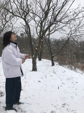  媛ちゃんさんのコーディネート
