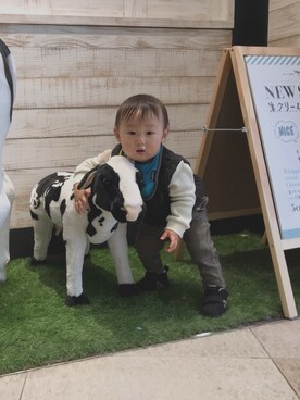 だんだんさんのコーディネート