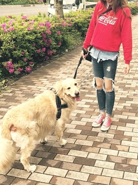 「TODAYFUL（トゥデイフル）のVintageトートバッグ（トートバッグ）」を使った、misaさん（レディース・165cm）の春コーディネート