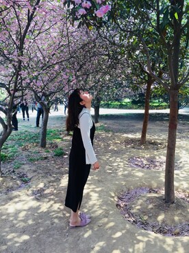 pinkpinkgirlさんのコーディネート