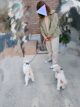 ccochicoさん（レディース・148cm）の春コーディネート