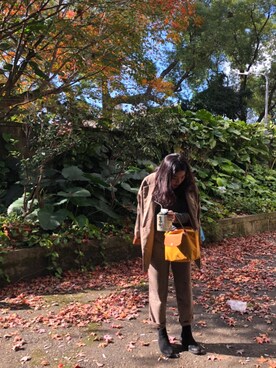 Amanda chiuさんのコーディネート