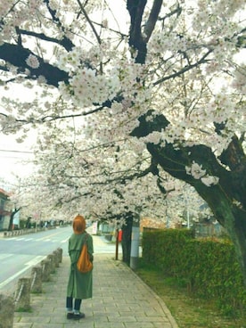 YUYAさん（メンズ・171cm）の春コーディネート