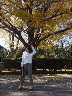 licoleさんのコーディネート