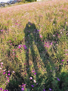 sayakaさんのコーディネート