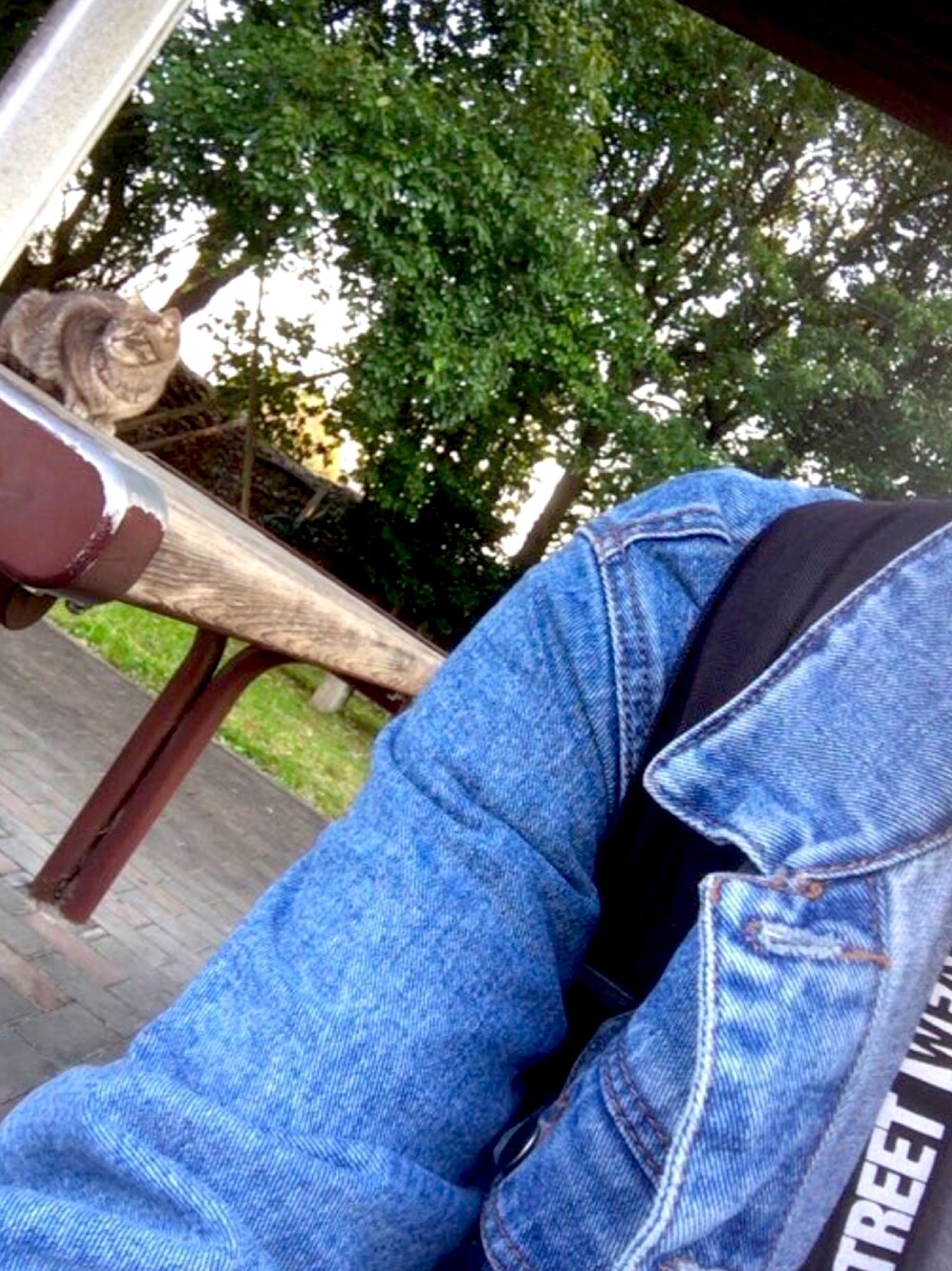 「猫、レディース男子、レディース、散歩」｜「FOREVER 21のアイテム（デニムジャケット、ブルー系）」を使った、けんたろう@猫好き薬剤師さん（メンズ・169cm）の春コーディネートの1枚目の写真