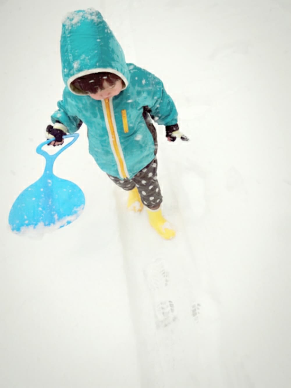 「雪、ダイソー、手袋、長靴、水玉、フード、ミカサおさがり、kbros 弟、2 A/W、ドットパンツ」｜「motherwaysのアイテム（ブルゾン、ブルー系）」を使った、Ｋ兄弟さん（キッズ・90cm）の冬コーディネートの1枚目の写真