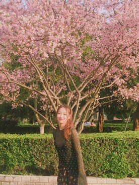 「Mo&Co.（モーアンドコー）のアイテム（ワンピース/ドレス）」を使った、Alisaさん（レディース・160cm）の春コーディネート