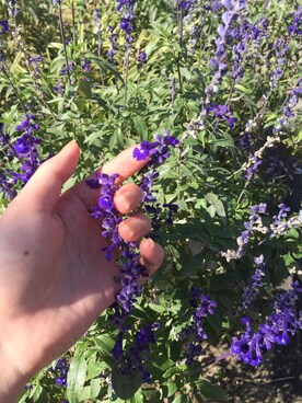 ましゅまろさんのコーディネート