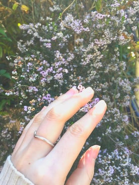 ましゅまろさんのコーディネート