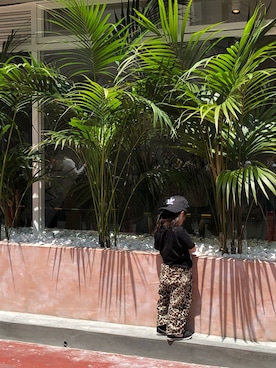 T.M.T☆★さんのコーディネート