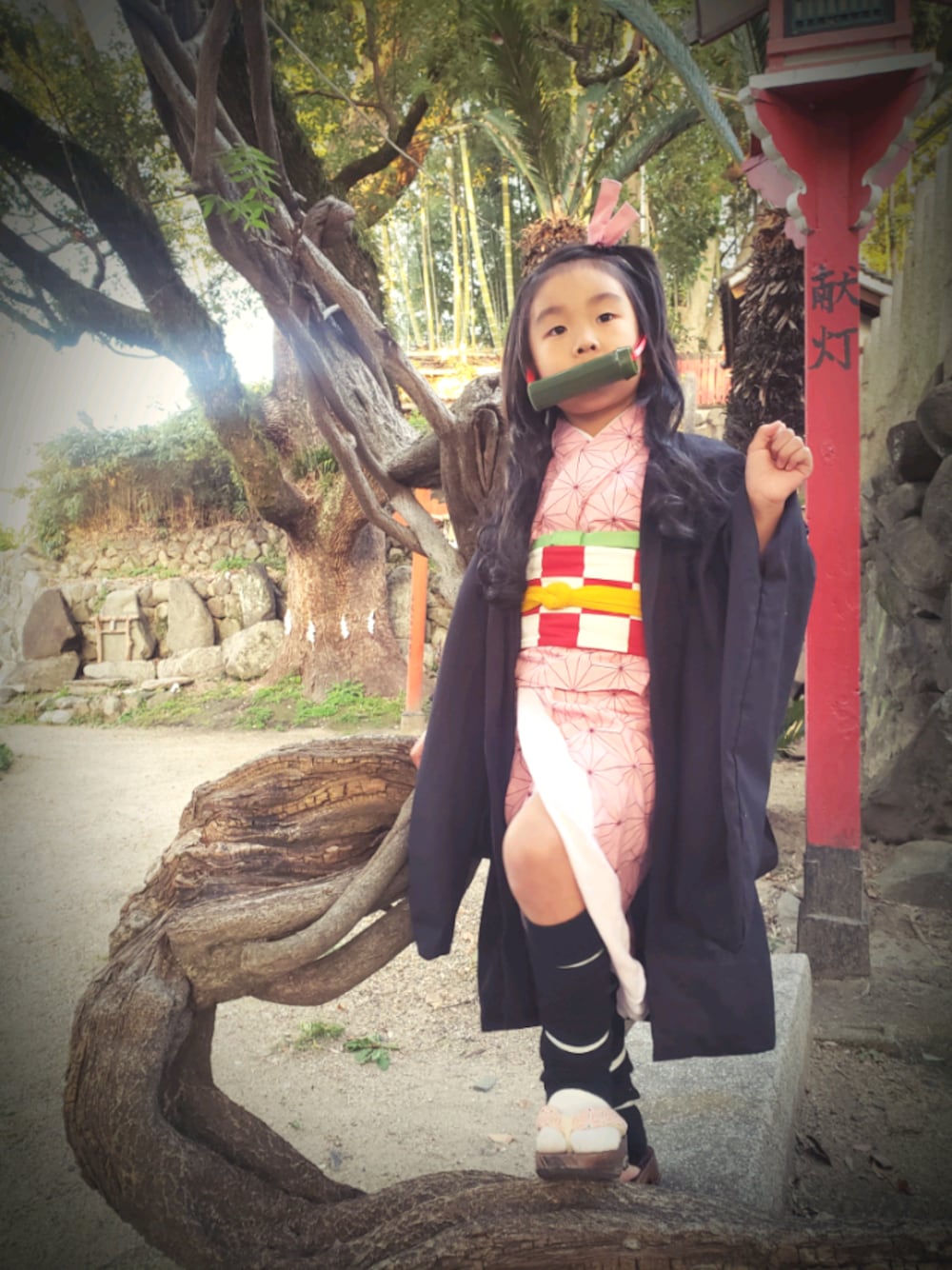 その他のその他、その他のその他、ピンク系の着物を着用したキッズの秋コーディネートの1枚目の写真