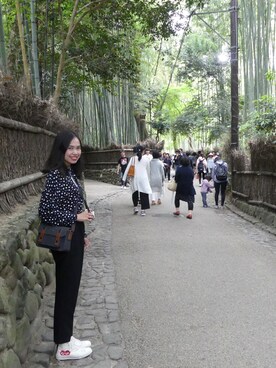 PatchaTakkyさんのコーディネート