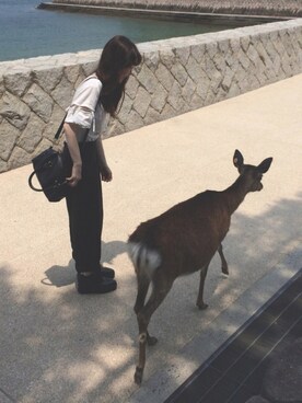 ❤︎さんのコーディネート