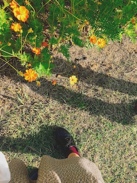 ハルさんのコーディネート