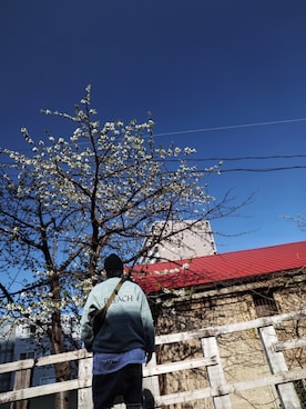 kalaka777さんのコーディネート