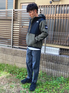 THE NORTH FACE デナリフーディ