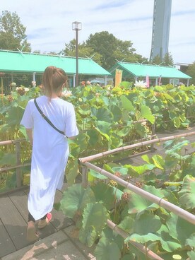 ▲▽えむ△▼さん（レディース・164cm）の夏コーディネート