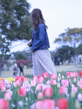 さくさくぱんださんのコーディネート